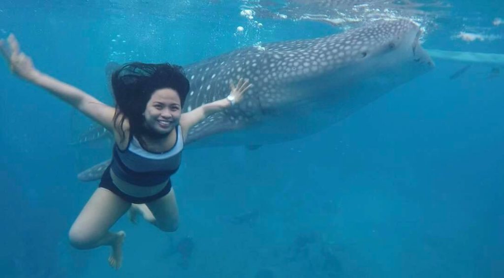 mochipuni whale shark